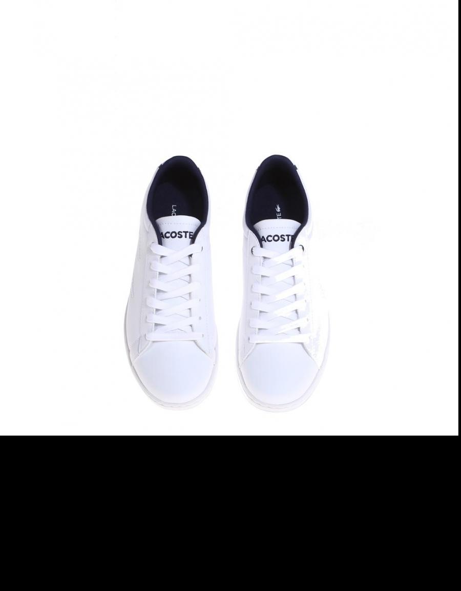 LACOSTE Lacoste Carnaby Evo 116 1 Blanc