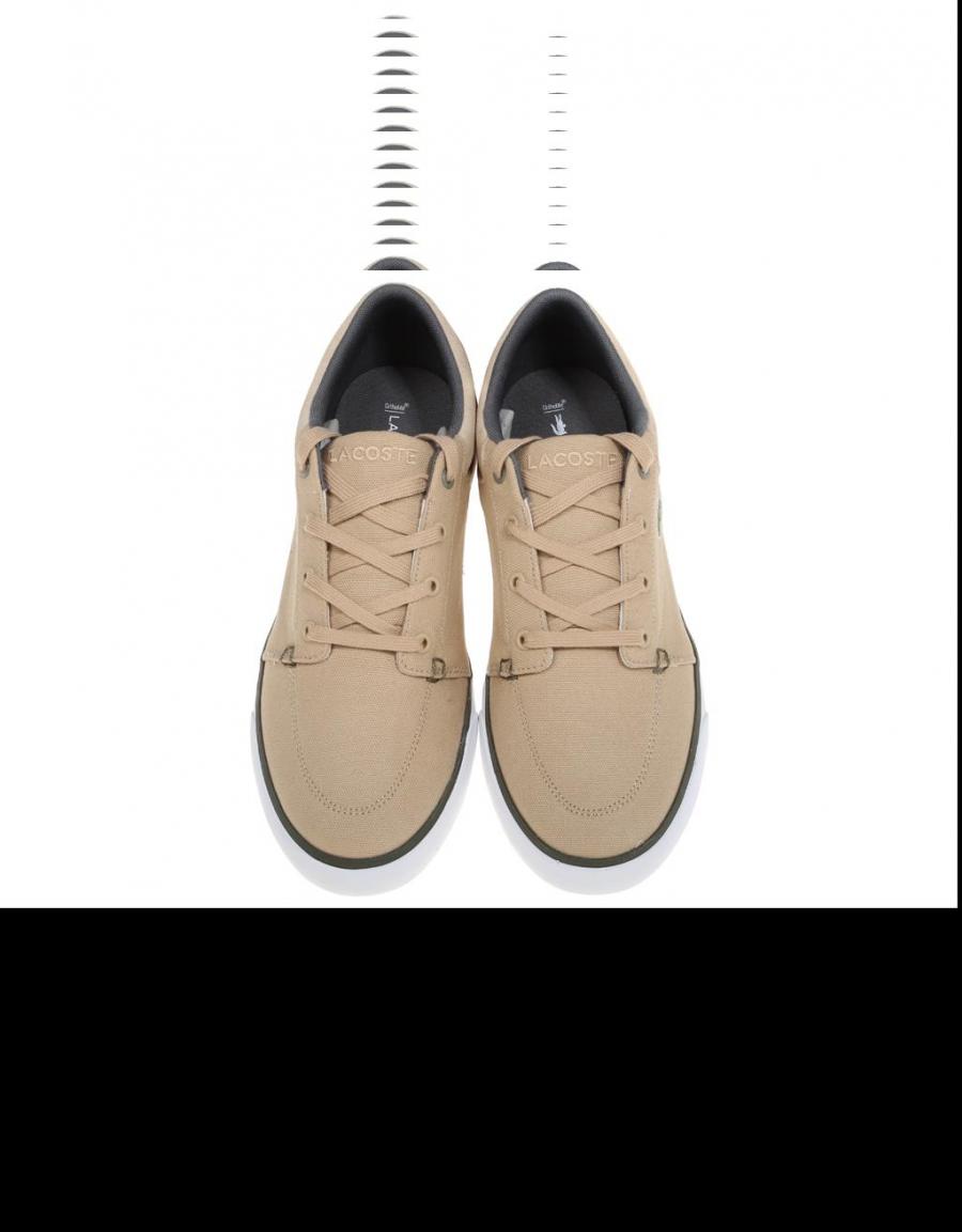 LACOSTE Bayliss 117.1 Taupe